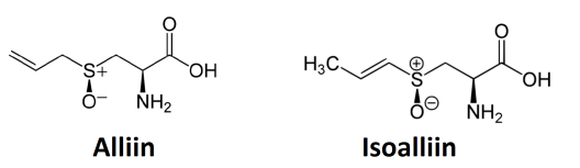 Alliin (85%) et Isoalliin (5%), deux sulfoxides présents dans l'ail.
